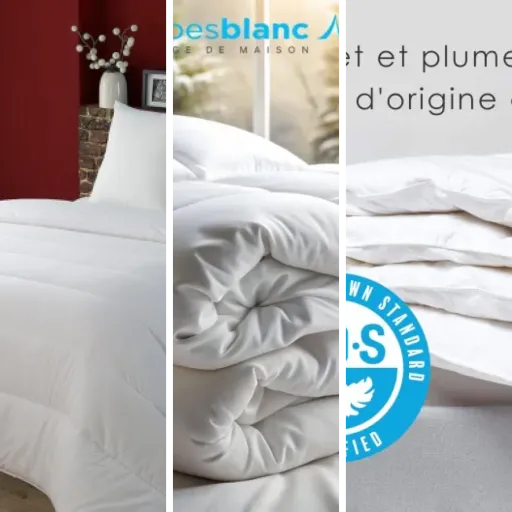 Guide d'achat : les 8 meilleurs couettes en duvet (2026)