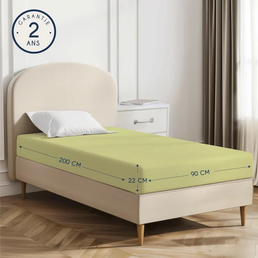 81by4vNQ1TL._AC_SL1500_