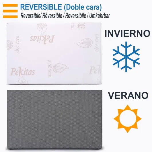 71T5W1QY4YL._AC_SL1500_