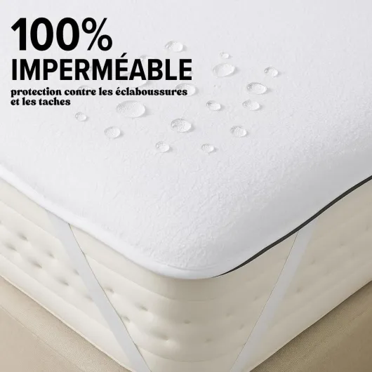 61nFpCs9DdL._AC_SL1200_