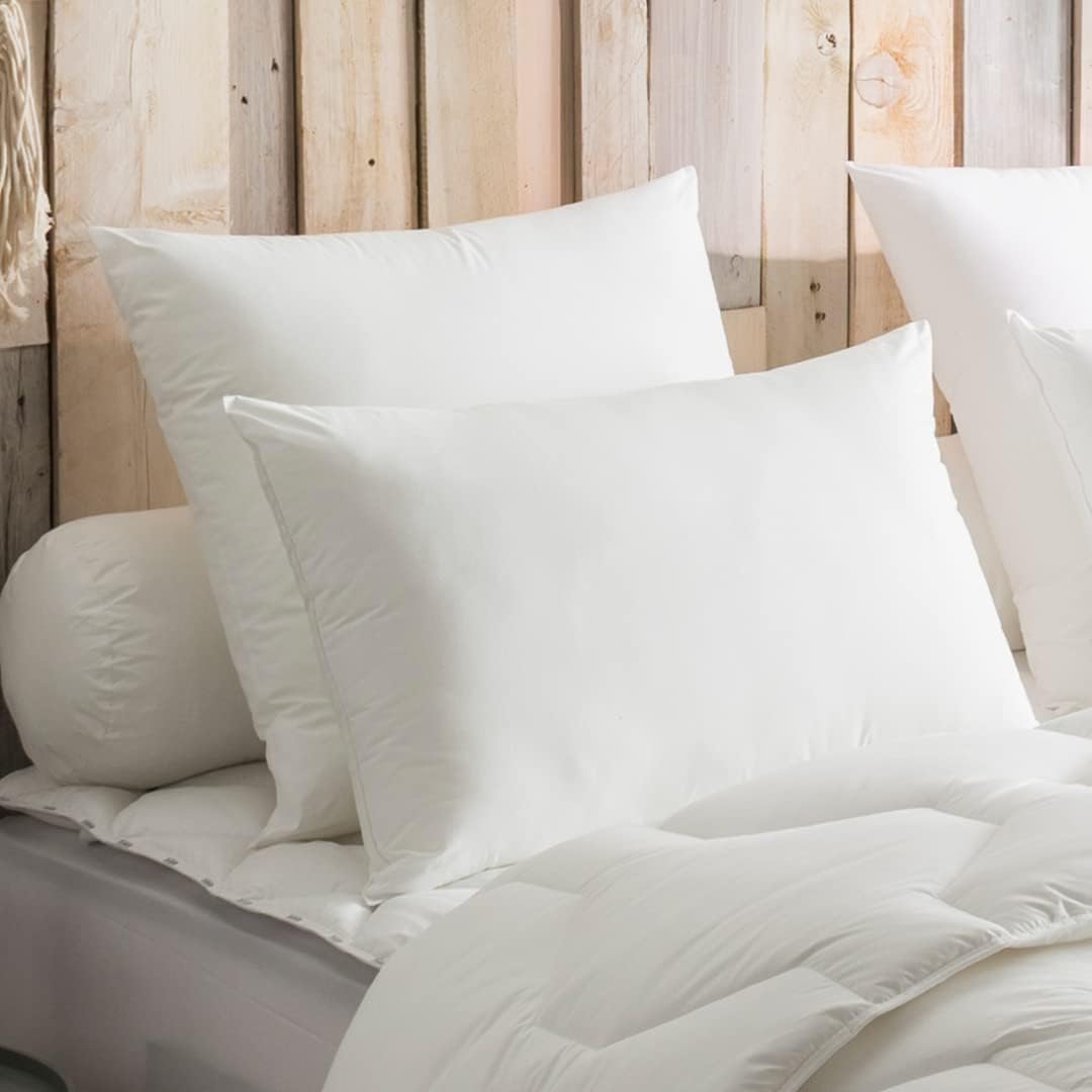 Oreiller Protection Active Anti-acariens Moelleux 60/60 Blanc