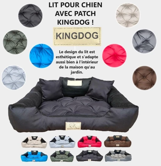 71OoS3D1JfL._AC_SL1500_