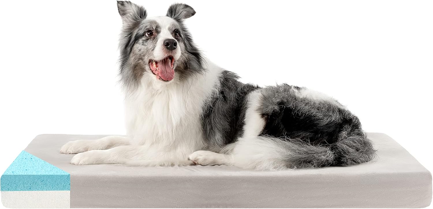 Coussin Chien Mémoire de Forme - Tapis Chien Petite Taille 60x40x9cm, Housse Lavable - Lit pour Chien Orthopédique, Antidérapant L 60 x l 40 x H 9 cm