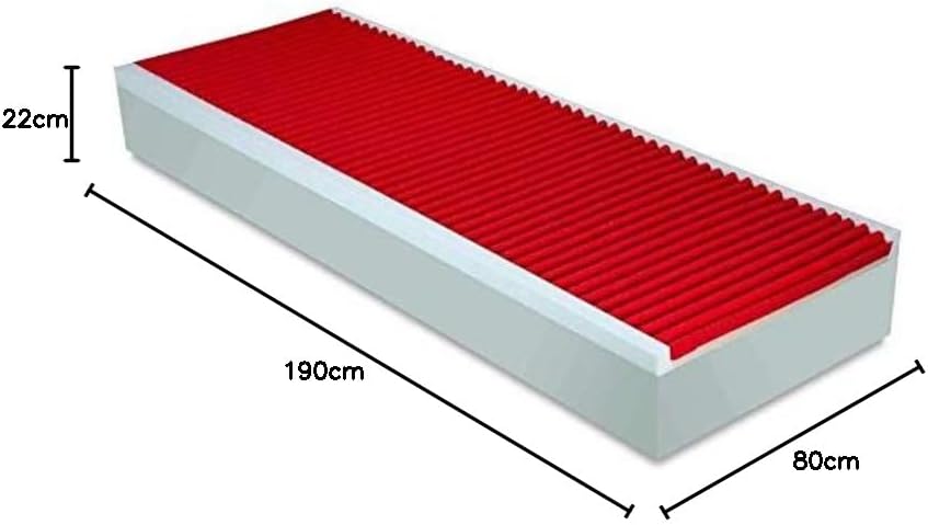 EVERGREENWEB Matelas 80x190 Mémoire de Forme avec Oreiller Gratuit, Zones Différenciées, 22 cm de Hauteur avec Housse Effet de Massage Amovible Lavable Anti Acarien, Degré de dureté 2-3 Haute Densité Gris 80 x 190 x 22 cm