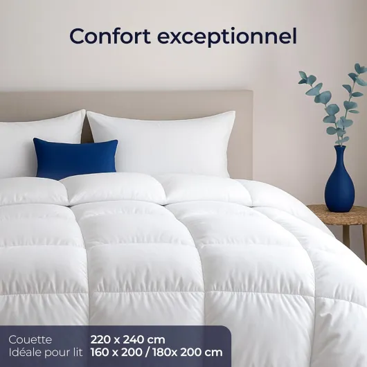Couette 220x240 cm Ultra Confort - Couette Plume & Duvet de Canard - Duvet 2 Personnes - 450gsm - Certifiée Oeko-Tex, RDS & Downpass 450 Gsm - Couette Moelleuse Toutes Saisons 220 x 240 cm