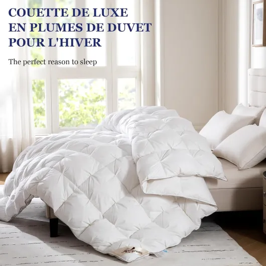 Homyrium Couette en Duvet 220x240 Couette Plume Naturelle Hiver Très Chaude Épais Garnissage 450g/m² 2 Personne Édredon 220x240 Enveloppe Coton, Lavable en Machine 220x240 cm Blanc