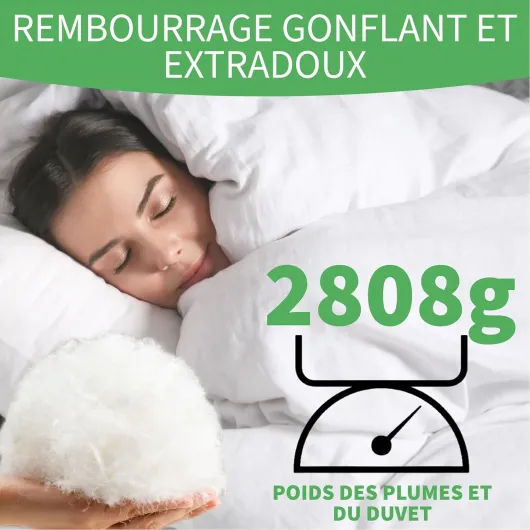 Welldora Couette 2 Personne Grand Confort 260x240 - 100% Plumes et Duvet Extradoux - Vérifiée par des Médecins, Oeko-Tex, Anti-Allergies, Certifiée RDS pour Le Bien-Être Animal - Couette Toute Saison Couette Toute Saison 260x240 cm
