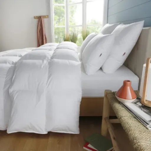 Test DODO Couette Percale Coton Tempérée 240x260 : confortable mais un peu bruyante