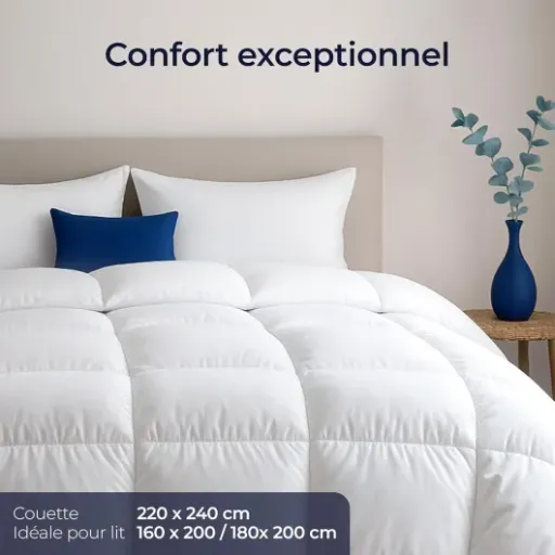 Test Dreamzie Couette 220x240 Ultra Confort : une couette plume/duvet qui fait bien le job sans exploser le budget