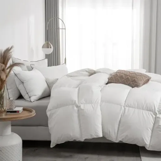 Test APSMILE Couette Duvet & Plumes 4 saisons 220x240 : légère, bien chaude, mais pas parfaite
