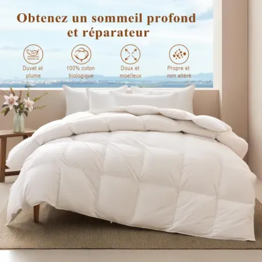 Test APSMILE Couette 220x240 été : une couette légère qui fait le job sans ruiner le budget