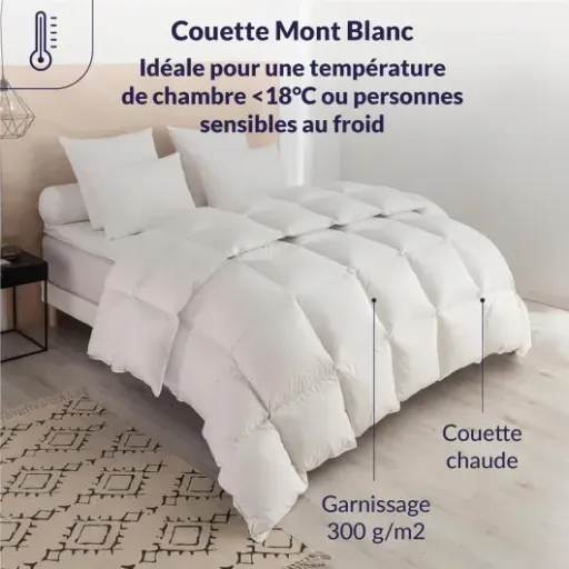 Test DODO Couette Naturelle Chaude 140x200 : duvet léger pour chambre fraîche