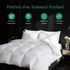 Test APSMILE Couette 240x260 4 Saisons : chaude, gonflante, mais avec quelques concessions