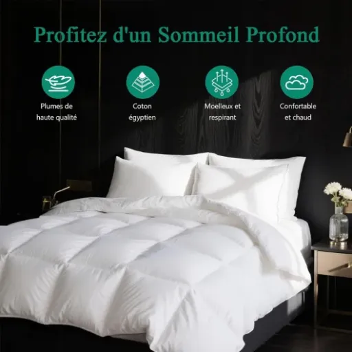 Test APSMILE Couette 240x260 4 Saisons : chaude, gonflante, mais avec quelques concessions