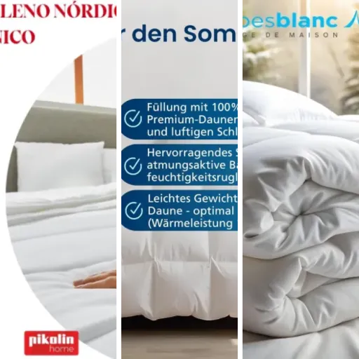 Guide d'achat : les 6 meilleurs couette 300 Grammes (mai 2026)