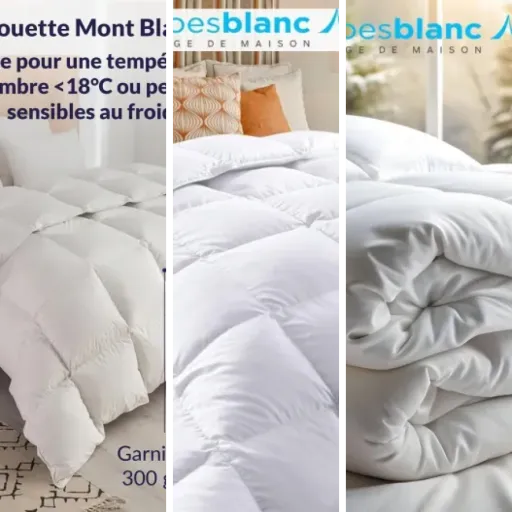 Top 5 : meilleurs couette 200x140 cm (mai 2026)