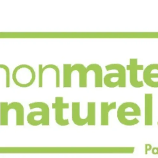 Test NAT'GREEN Sommier Relaxation électrique plots-Relax 80x200 : le lit qui soulage un peu le dos sans faire de miracle