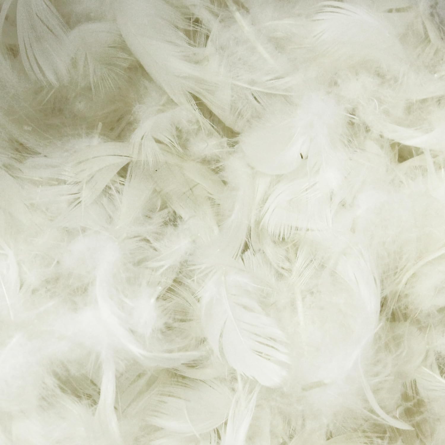 Linnea Rembourrage 70% Plumes de Canards 30% Duvet Sac 1 kg