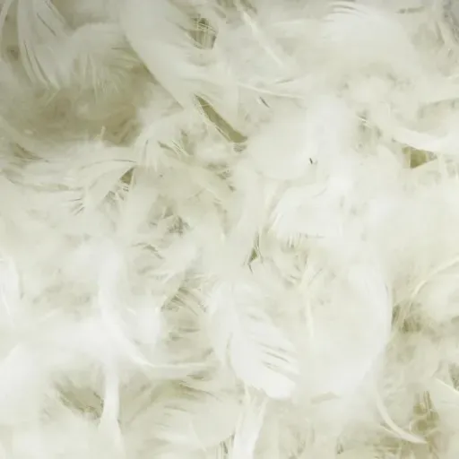 Test Linnea Rembourrage 70% Plumes 30% Duvet 1 kg : du gonflant correct pour retaper coussins et couette