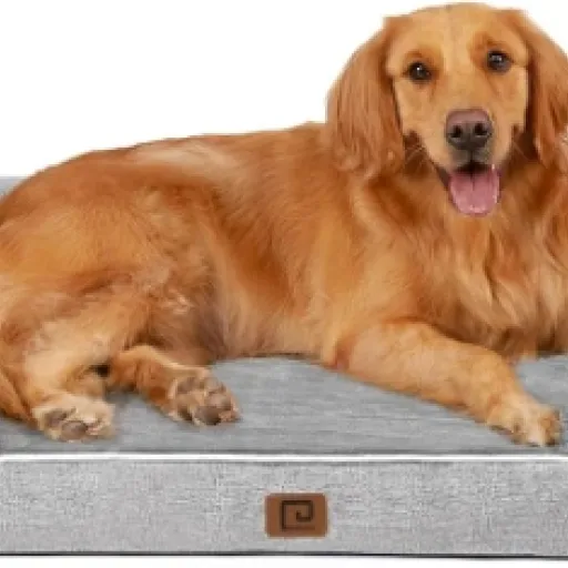 Test EHEYCIGA Panier Chien XL : un grand lit orthopédique qui fait le job pour les gros chiens