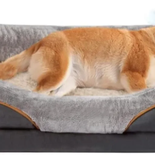 Test JOYELF lit de chien orthopédique : un panier confortable qui fait le job sans exploser le budget