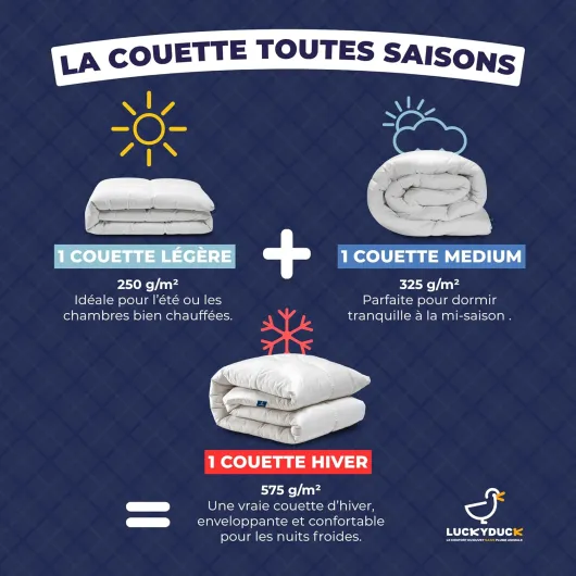 Couette 4 Saisons 220x240 - Percale100% Coton Blanc - Édredon Hypoallergénique - Ensemble Modulable 2 pièces 250+325g Séparables - Garnissage Microfibre - Léger à Très Chaud Toute l’Année