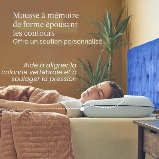Lucid Oreiller à mémoire de Forme – infusé de Gel rafraîchissant – Coussin Respirant – Housse Lavable – Oreiller memoire Forme King
