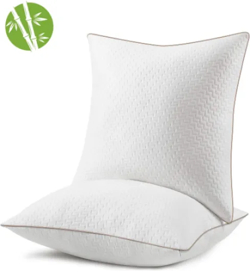 Oreiller 65x65 (2 Pièces) - Qualité Hôtelière de Luxe Oreiller - avec Housse en Fibres de Bambou Amovibles - Anti-acariens - Hypoallergénique -Confortable - Doux et Respirant - Qualité Hôtelière - avec Housse Amovibles - Anti acariens - Ergonomiq