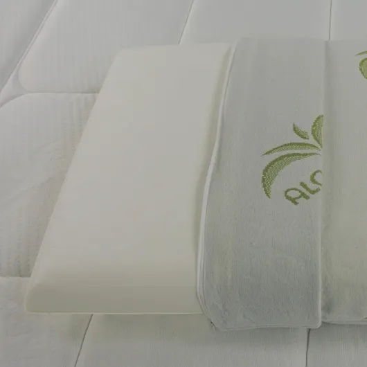 Lot de 2 Oreillers à Mémoire de Forme, Housse en Aloe Vera, Paire de Coussins Anti-Transpiration, Anti-Acarien et Hypo-Allergénique