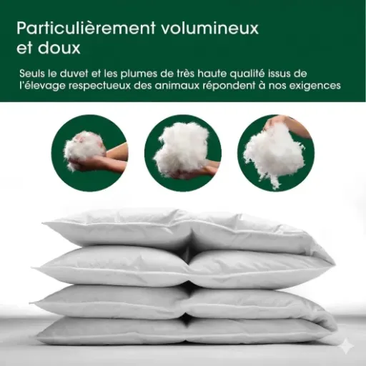 Test Hanskruchen Premium de Luxe 260x240 : la grosse couette en duvet qui tient bien chaud sans peser une tonne
