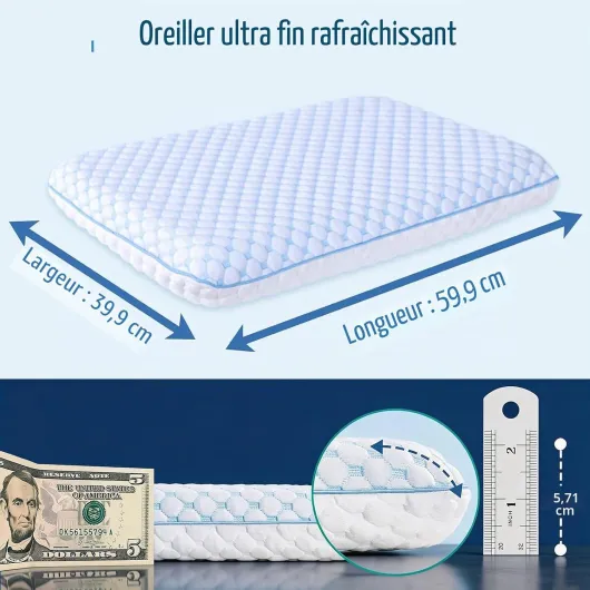 Oreiller Ultra Fin en Mousse à mémoire de Forme rafraîchissante pour Les Personnes Dormant sur Le Ventre et Le Dos/Oreillers Plats de 5,7 cm avec Housse Douce Lavable pour Dormir Hyper Slim (2.25-Inch Height) Bleu/Blanc